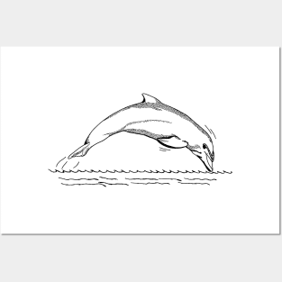 Cute Dolphin sketch Posters and Art